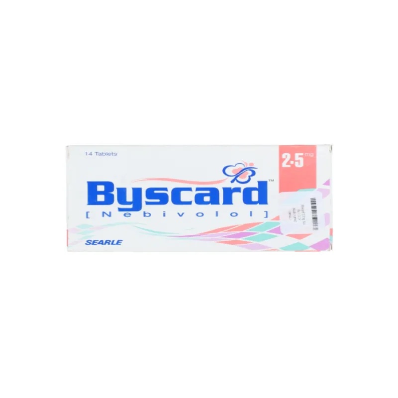 BYSCARD 2.5 28S