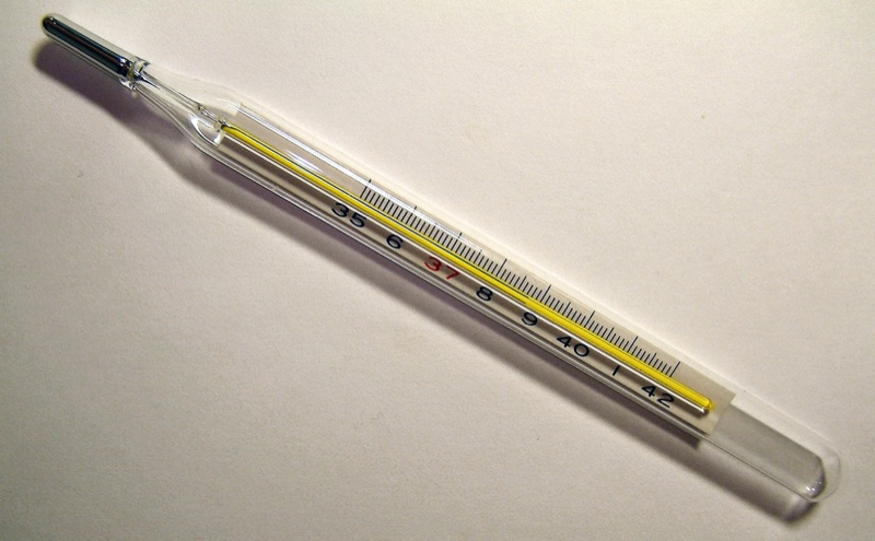 CLINICAL THERMOMETER