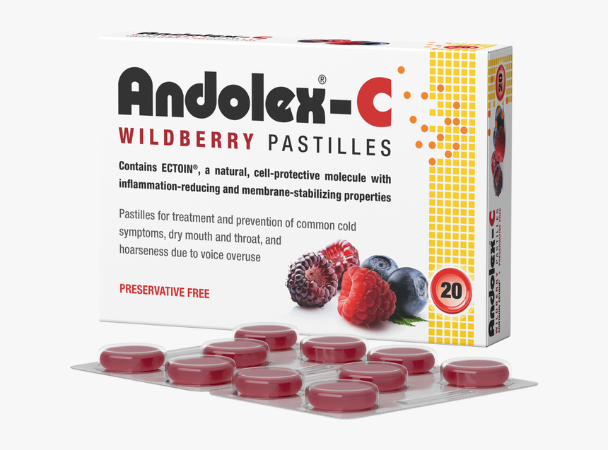 ANDOLEX WILDBERRY PASTILLES 20S