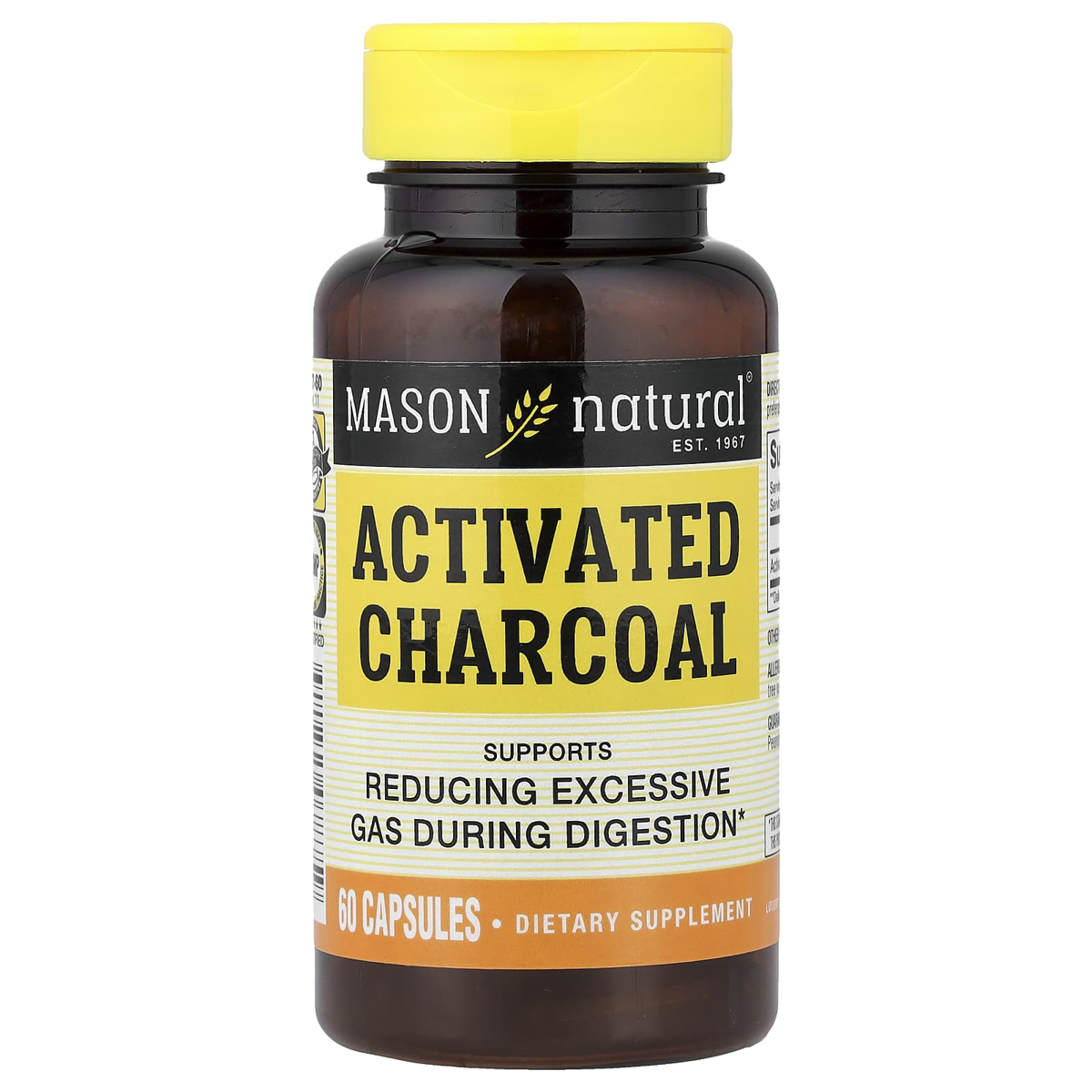 Activated Charcoal 100S